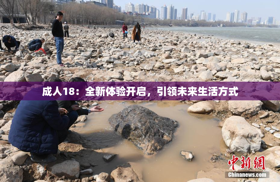 成人18：全新体验开启，引领未来生活方式