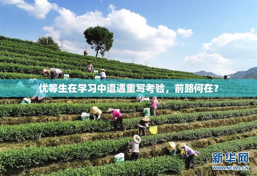 优等生在学习中遭遇重写考验，前路何在？