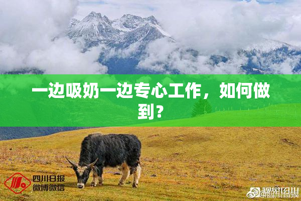 一边吸奶一边专心工作，如何做到？