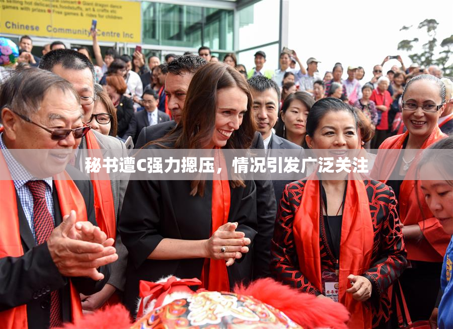 秘书遭C强力摁压，情况引发广泛关注