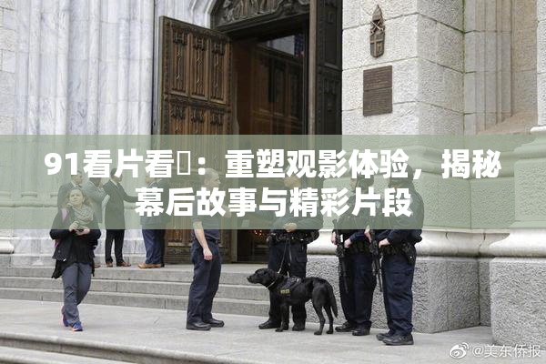 91看片看婬：重塑观影体验，揭秘幕后故事与精彩片段