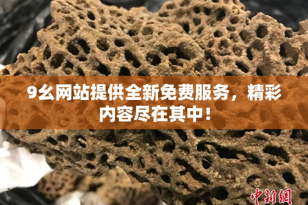 9幺网站提供全新免费服务，精彩内容尽在其中！