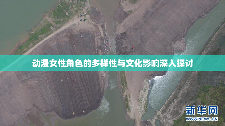 动漫女性角色的多样性与文化影响深入探讨