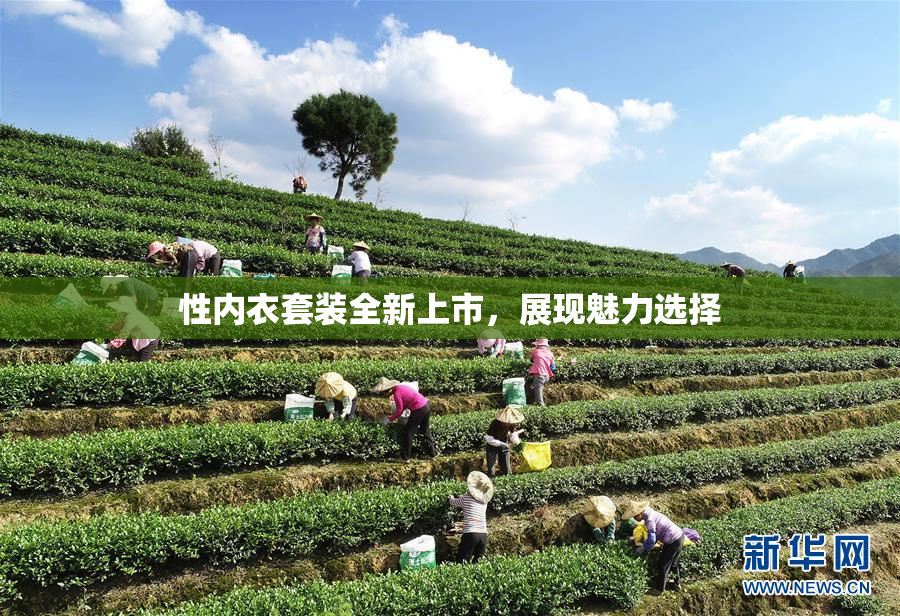 性内衣套装全新上市，展现魅力选择