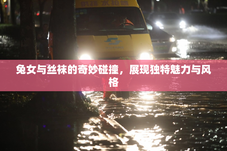 兔女与丝袜的奇妙碰撞，展现独特魅力与风格