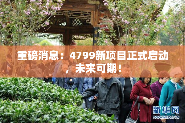 重磅消息：4799新项目正式启动，未来可期！