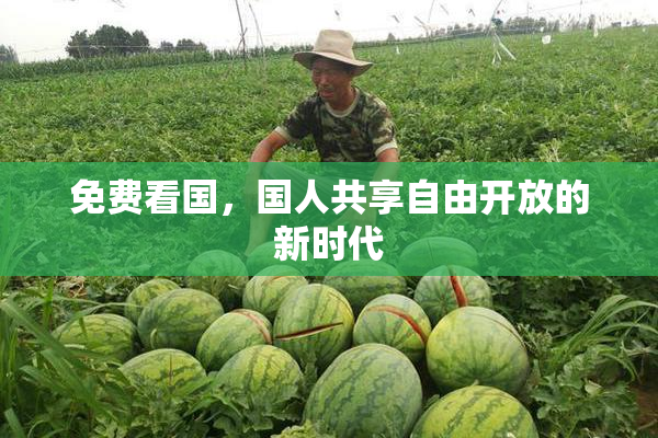 免费看国，国人共享自由开放的新时代