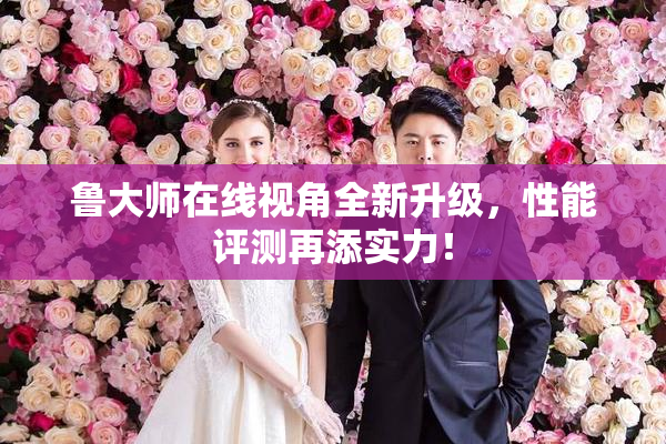 鲁大师在线视角全新升级，性能评测再添实力！