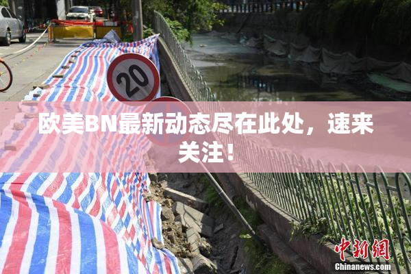 欧美BN最新动态尽在此处，速来关注！