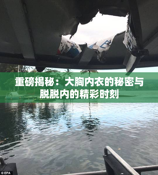 重磅揭秘：大胸内衣的秘密与脱脱内的精彩时刻