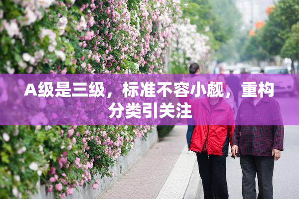 A级是三级，标准不容小觑，重构分类引关注