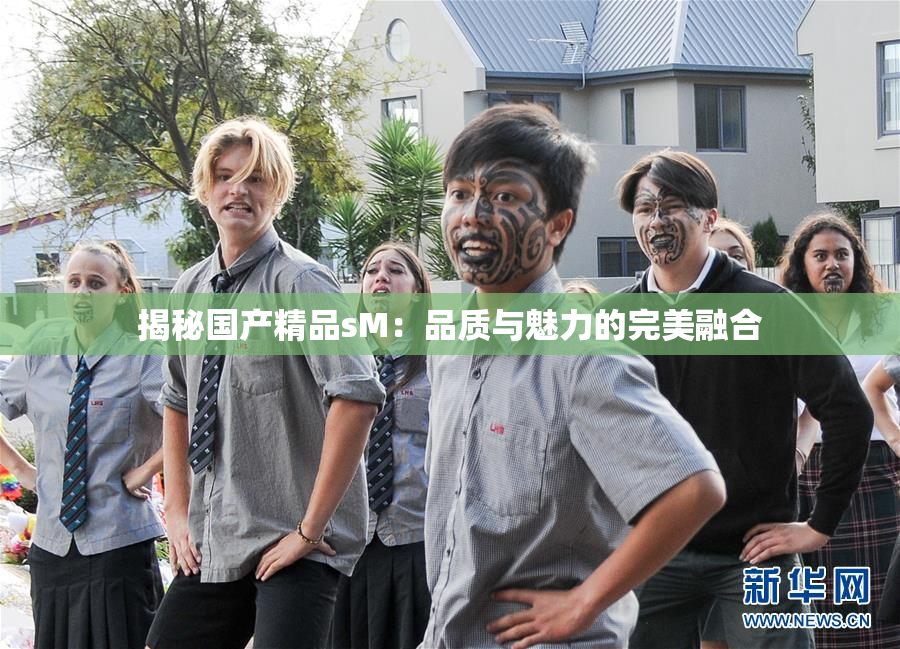 揭秘国产精品sM：品质与魅力的完美融合