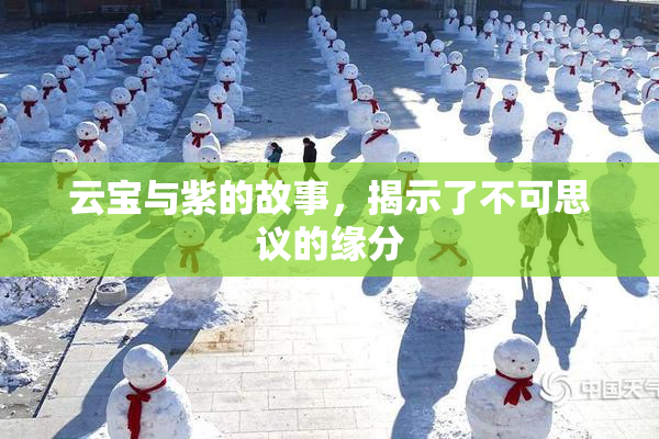 云宝与紫的故事，揭示了不可思议的缘分
