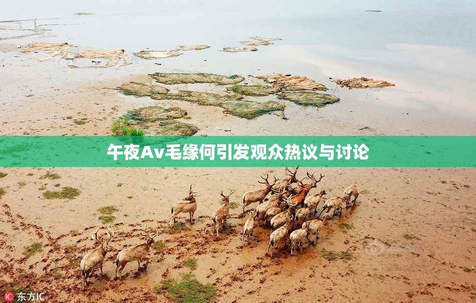 午夜Av毛缘何引发观众热议与讨论