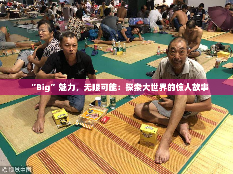 “Big”魅力，无限可能：探索大世界的惊人故事