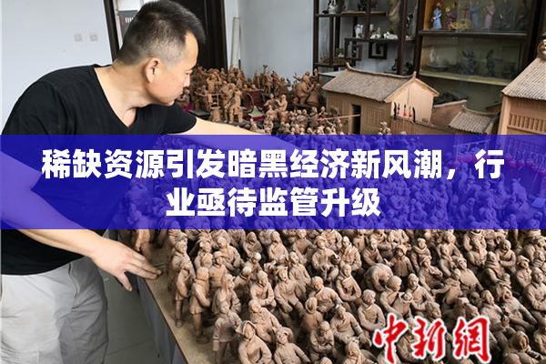 稀缺资源引发暗黑经济新风潮，行业亟待监管升级