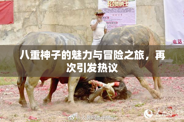 八重神子的魅力与冒险之旅，再次引发热议