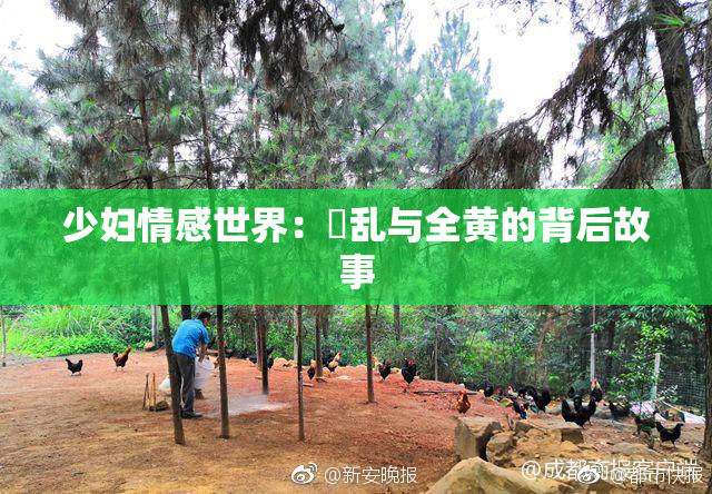 少妇情感世界：婬乱与全黄的背后故事