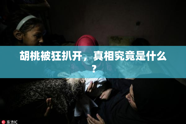 胡桃被狂扒开，真相究竟是什么？