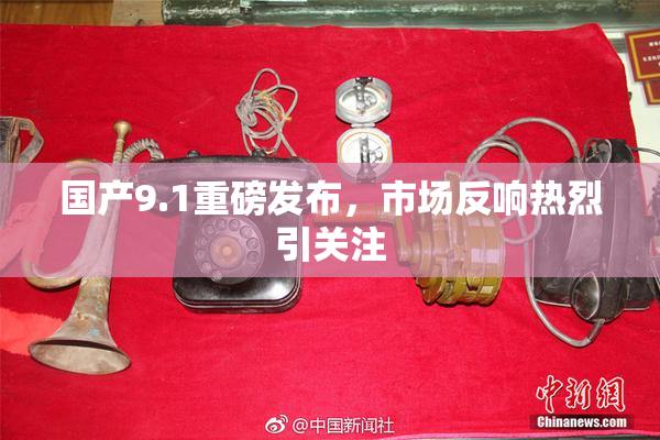 国产9.1重磅发布，市场反响热烈引关注