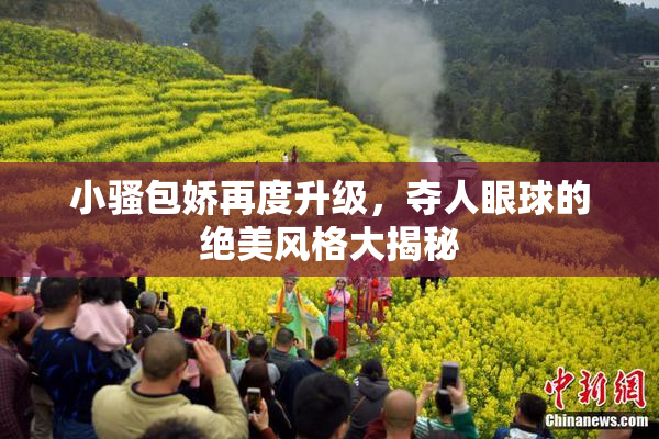 小骚包娇再度升级，夺人眼球的绝美风格大揭秘