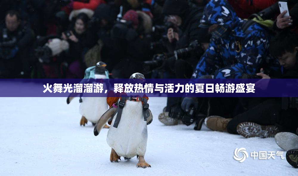 火舞光溜溜游，释放热情与活力的夏日畅游盛宴
