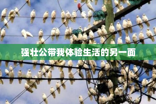 强壮公带我体验生活的另一面