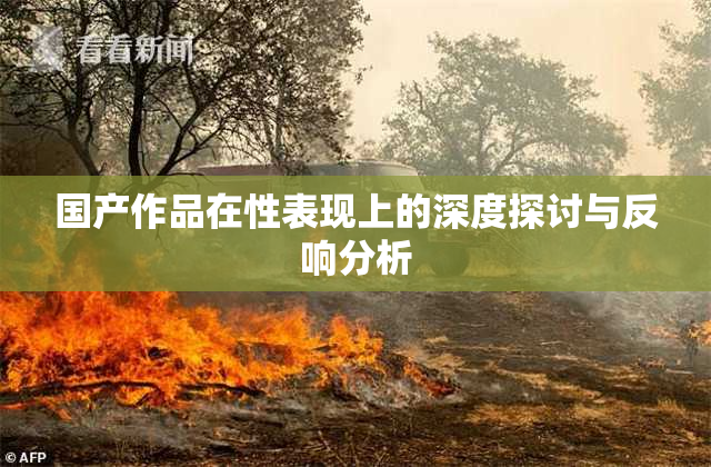 国产作品在性表现上的深度探讨与反响分析