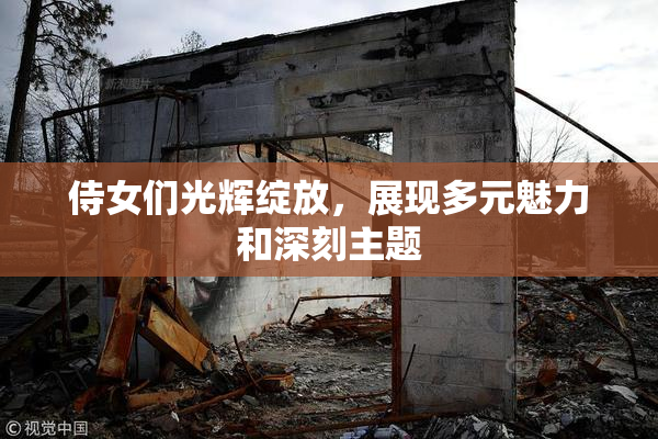 侍女们光辉绽放，展现多元魅力和深刻主题