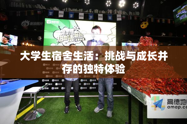 大学生宿舍生活：挑战与成长并存的独特体验