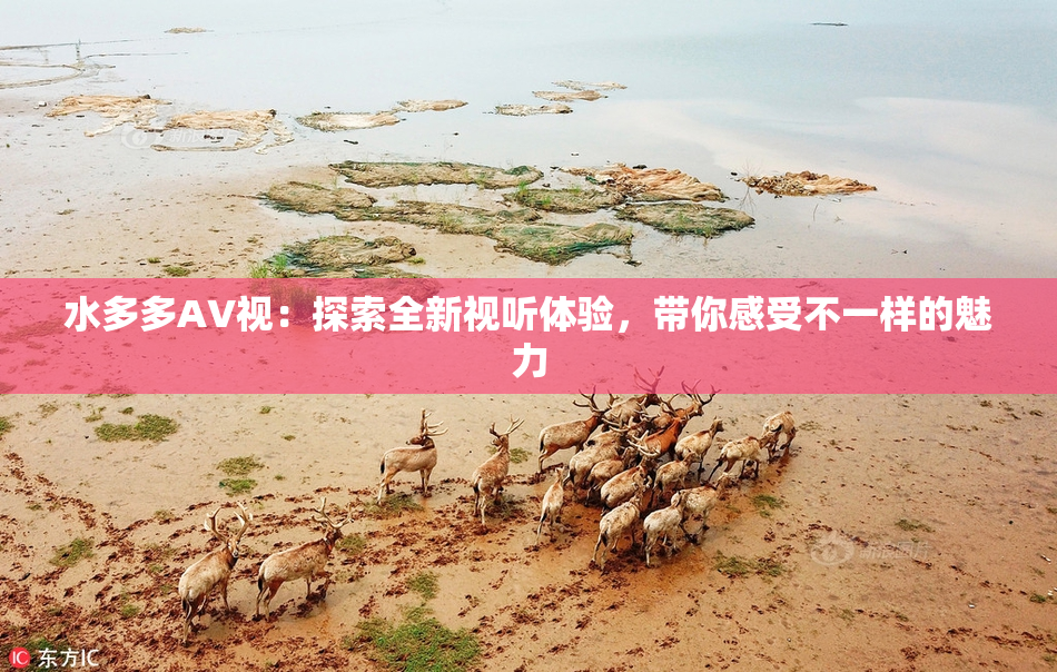 水多多AV视：探索全新视听体验，带你感受不一样的魅力