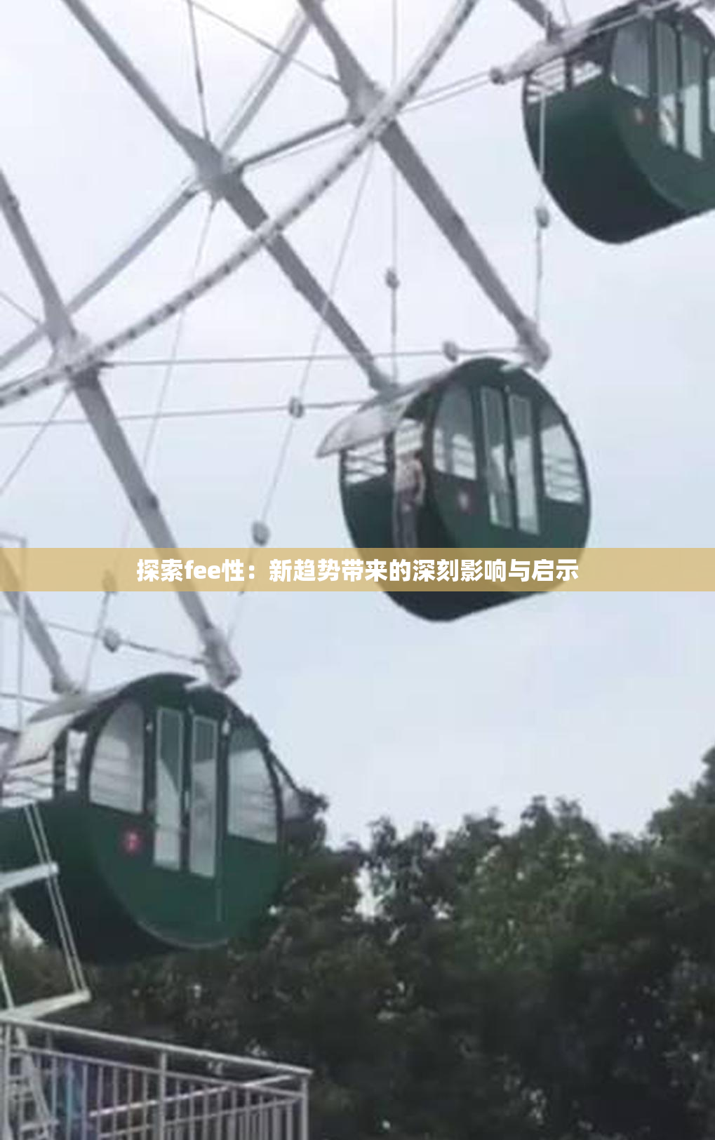 探索fee性：新趋势带来的深刻影响与启示