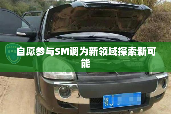 自愿参与SM调为新领域探索新可能