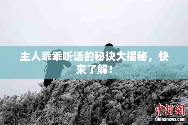 主人乖乖听话的秘诀大揭秘，快来了解！