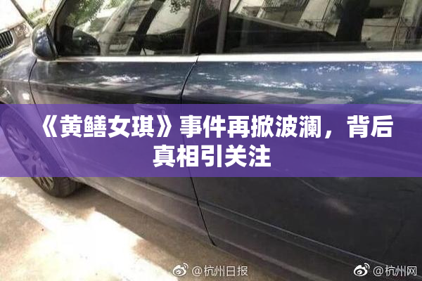 《黄鳝女琪》事件再掀波澜，背后真相引关注