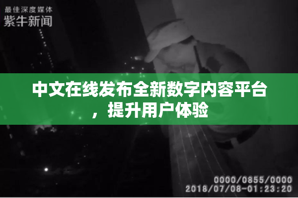 中文在线发布全新数字内容平台，提升用户体验