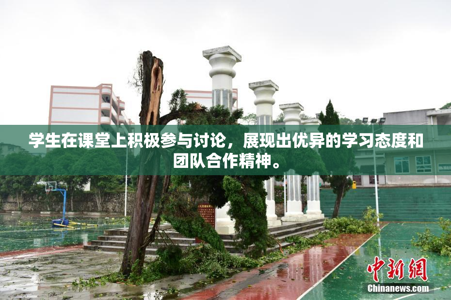 学生在课堂上积极参与讨论，展现出优异的学习态度和团队合作精神。