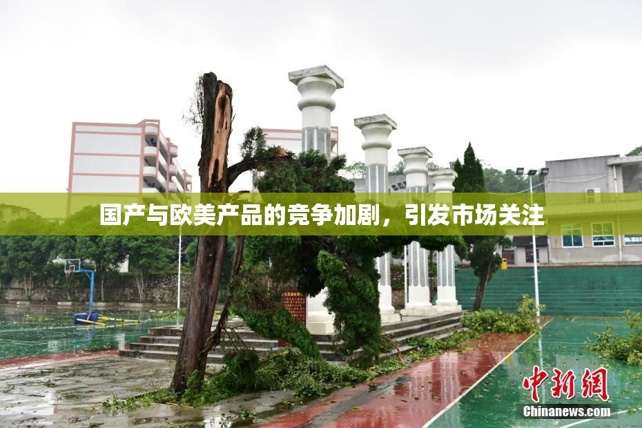 国产与欧美产品的竞争加剧，引发市场关注