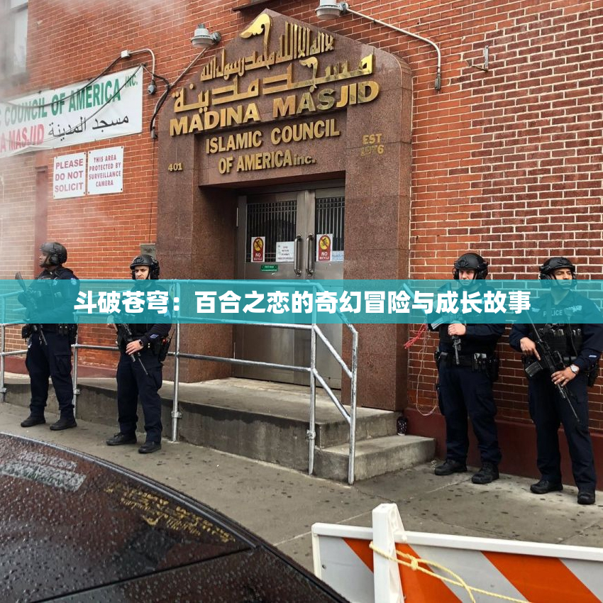 斗破苍穹：百合之恋的奇幻冒险与成长故事