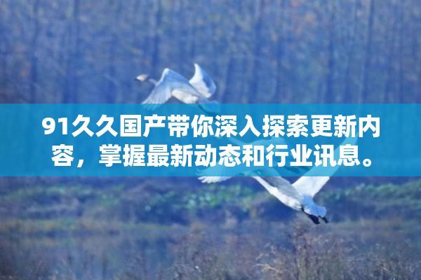91久久国产带你深入探索更新内容，掌握最新动态和行业讯息。