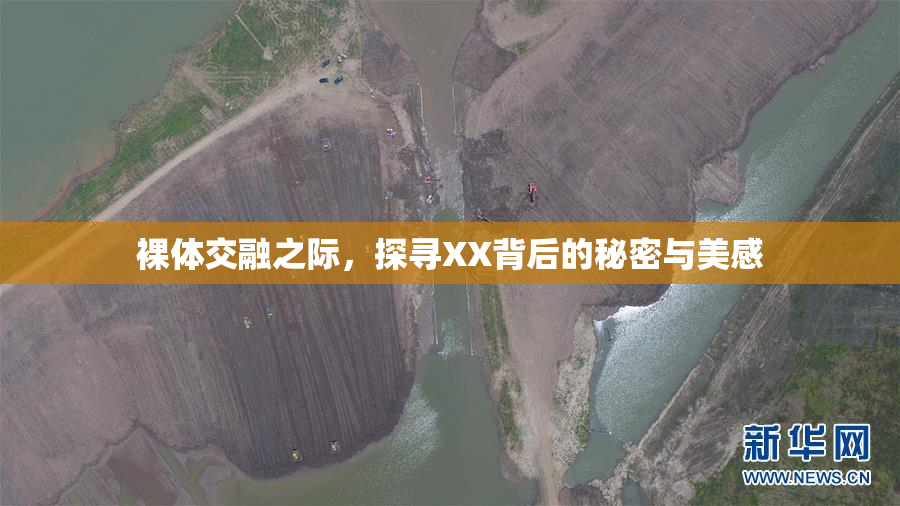 裸体交融之际，探寻XX背后的秘密与美感