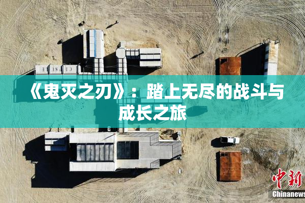 《鬼灭之刃》：踏上无尽的战斗与成长之旅