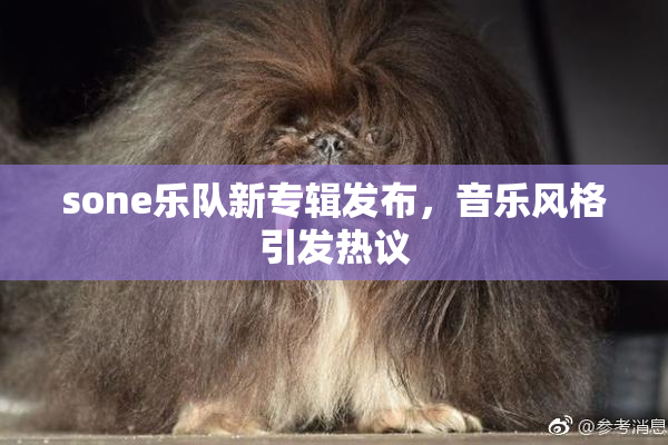 sone乐队新专辑发布，音乐风格引发热议