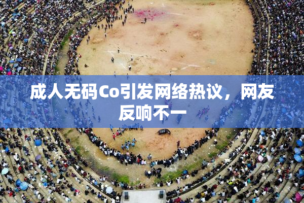 成人无码Co引发网络热议，网友反响不一