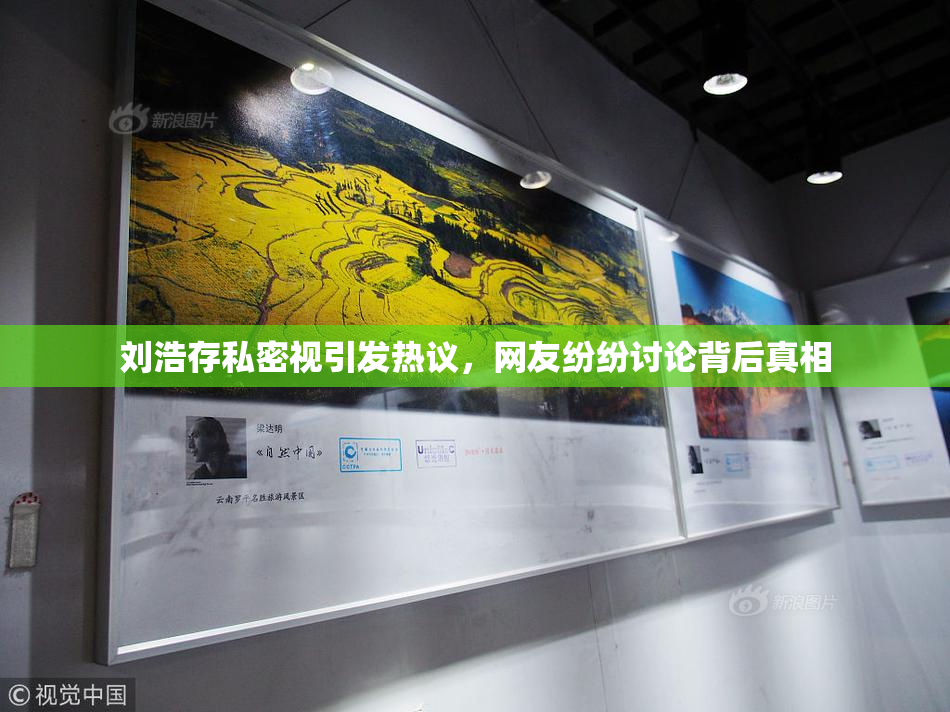 刘浩存私密视引发热议，网友纷纷讨论背后真相