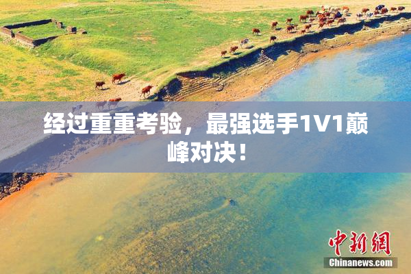 经过重重考验，最强选手1V1巅峰对决！