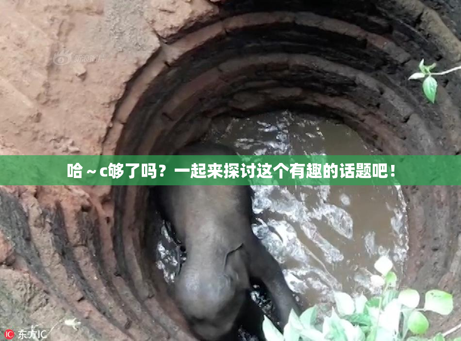 哈～c够了吗？一起来探讨这个有趣的话题吧！