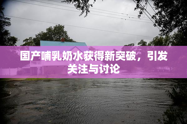 国产哺乳奶水获得新突破，引发关注与讨论