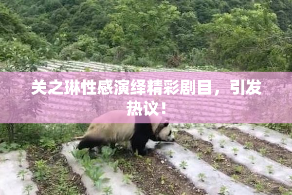 关之琳性感演绎精彩剧目，引发热议！
