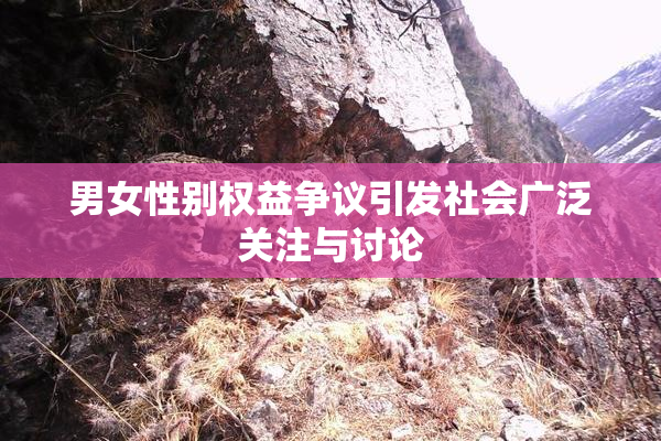 男女性别权益争议引发社会广泛关注与讨论